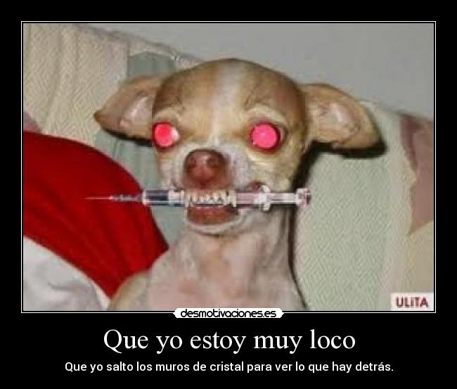 Que yo estoy muy loco - 