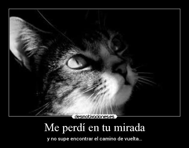 Me perdí en tu mirada - 