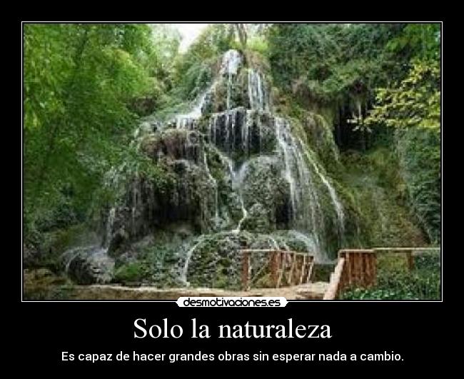 Solo la naturaleza - Es capaz de hacer grandes obras sin esperar nada a cambio.