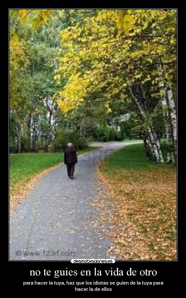 no te guies en la vida de otro - para hacer la tuya, haz que los idiotas se guíen de la tuya para hacer la de ellos