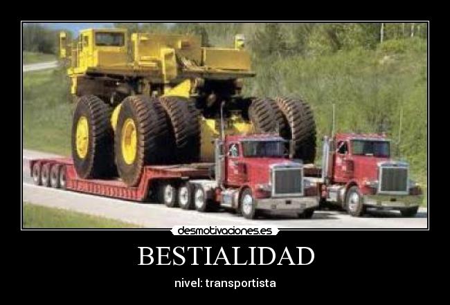 BESTIALIDAD - nivel: transportista