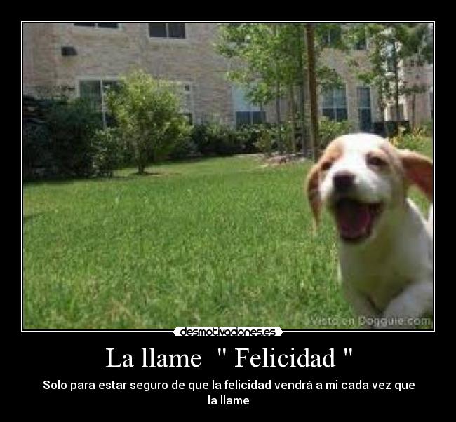 La llame Felicidad - Solo para estar seguro de que la felicidad vendrá a mi cada vez que la llame