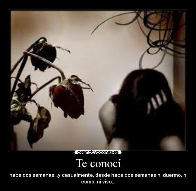Te conocí - 