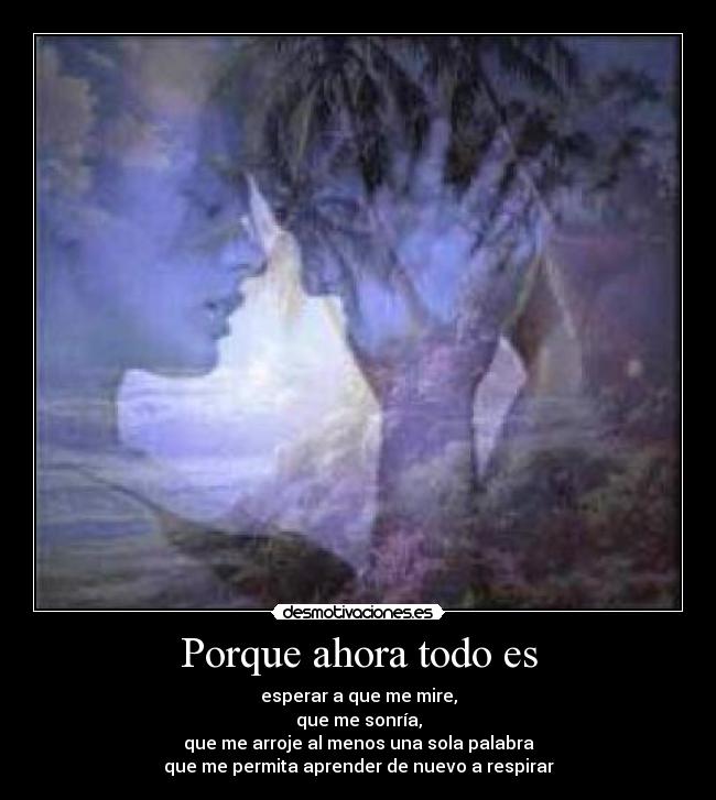 Porque ahora todo es - esperar a que me mire,
que me sonría,
que me arroje al menos una sola palabra
que me permita aprender de nuevo a respirar