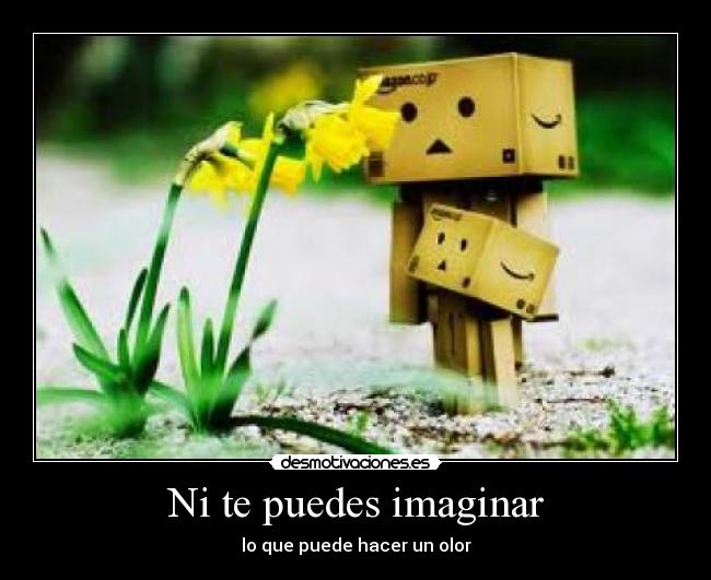 Ni te puedes imaginar - lo que puede hacer un olor