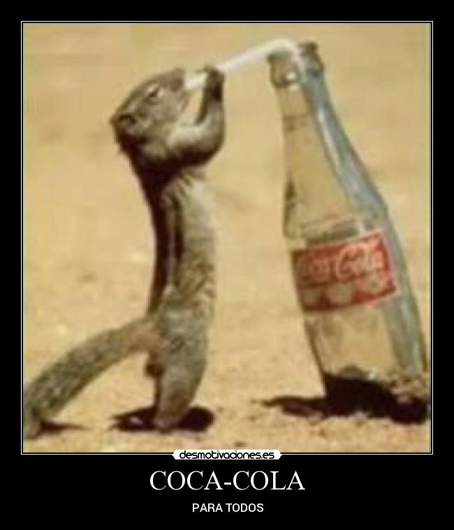 COCA-COLA - 