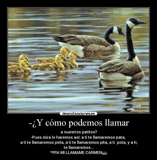 -¿Y cómo podemos llamar -
