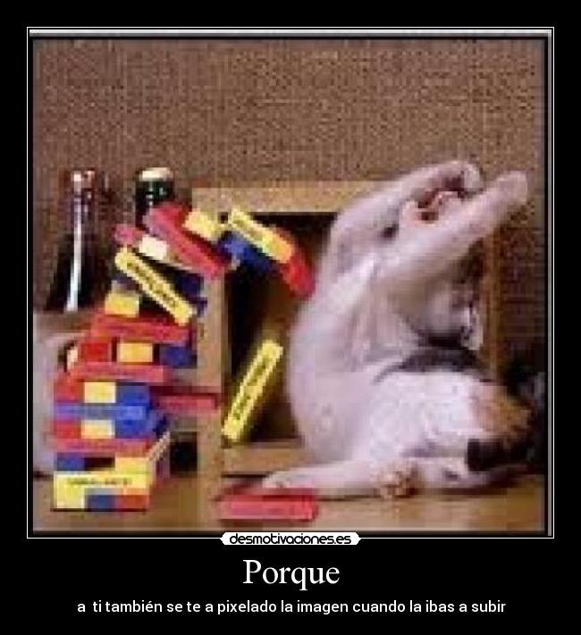 Porque - 