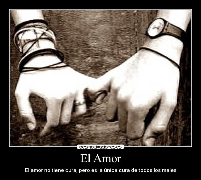 El Amor - 