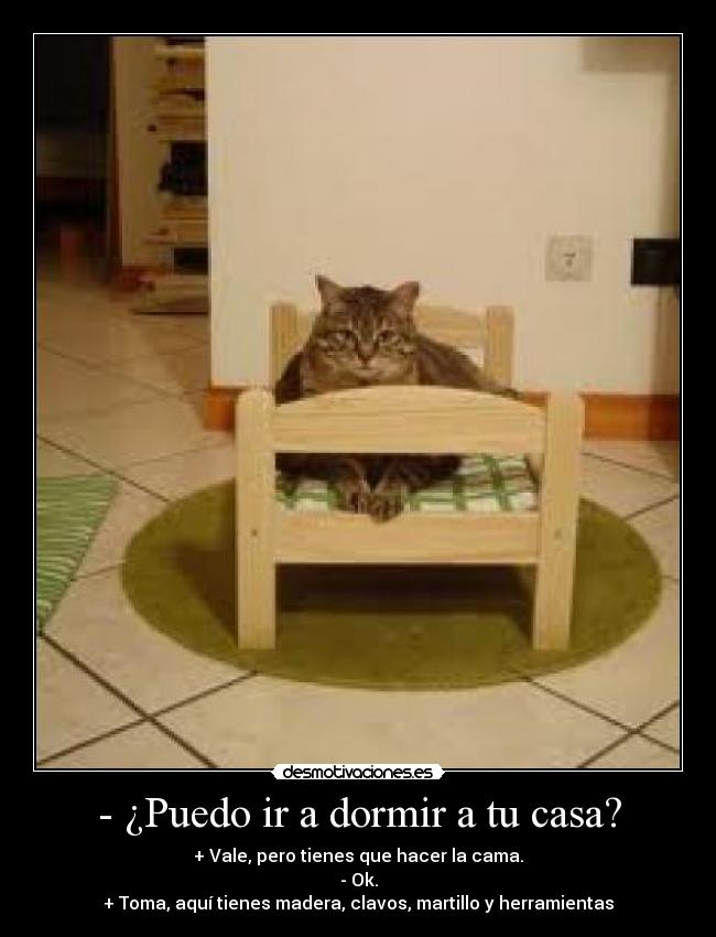 - ¿Puedo ir a dormir a tu casa? - + Vale, pero tienes que hacer la cama.
- Ok.
+ Toma, aquí tienes madera, clavos, martillo y herramientas
