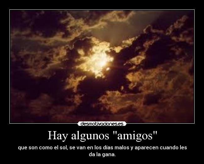 carteles amigos gente falsa desmotivaciones