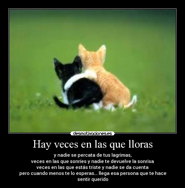 Hay veces en las que lloras - y nadie se percata de tus lagrimas,
veces en las que sonríes y nadie te devuelve la sonrisa
veces en las que estás triste y nadie se da cuenta
pero cuando menos te lo esperas... llega esa persona que te hace sentir querido