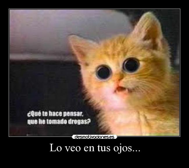 Lo veo en tus ojos... -