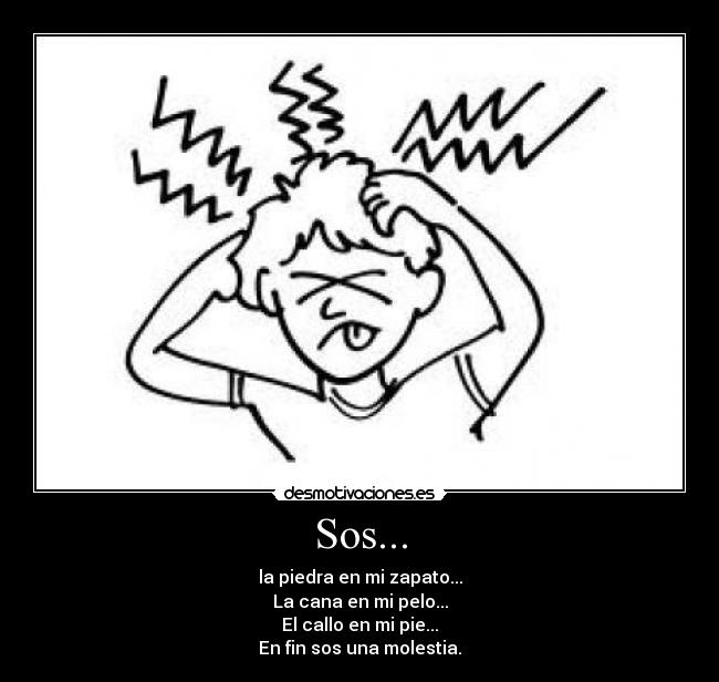 Sos... - la piedra en mi zapato...
La cana en mi pelo...
El callo en mi pie...
En fin sos una molestia.