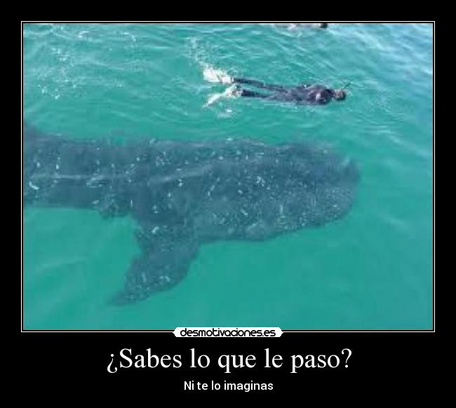 carteles xddddddddddddddddddddddddddddddddddd bybeeeeeeeeeeeeeeeeeeeeee desmotivaciones