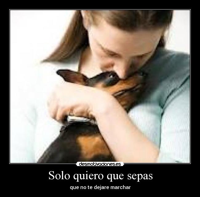 Solo quiero que sepas -