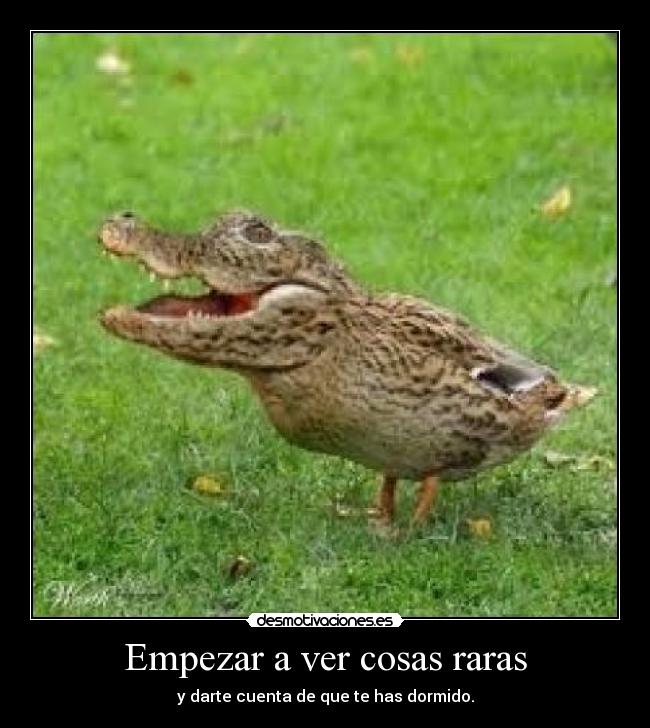 Empezar a ver cosas raras -