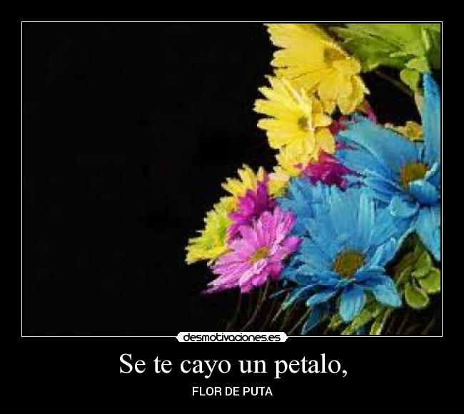 Se te cayo un petalo, - FLOR DE PUTA