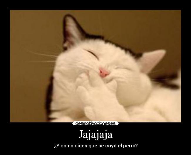 Jajajaja - ¿Y como dices que se cayó el perro?