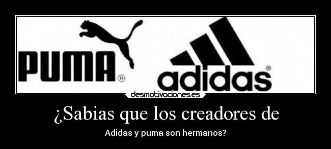 ¿Sabias que los creadores de -