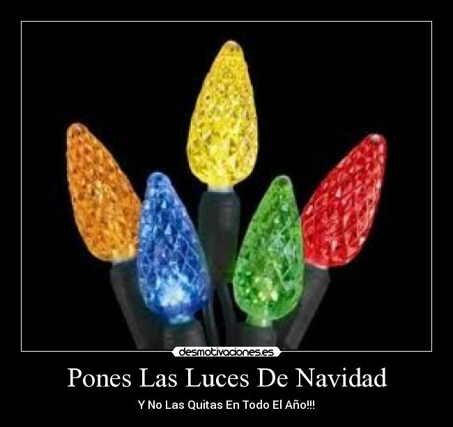 Pones Las Luces De Navidad - Y No Las Quitas En Todo El Año!!!