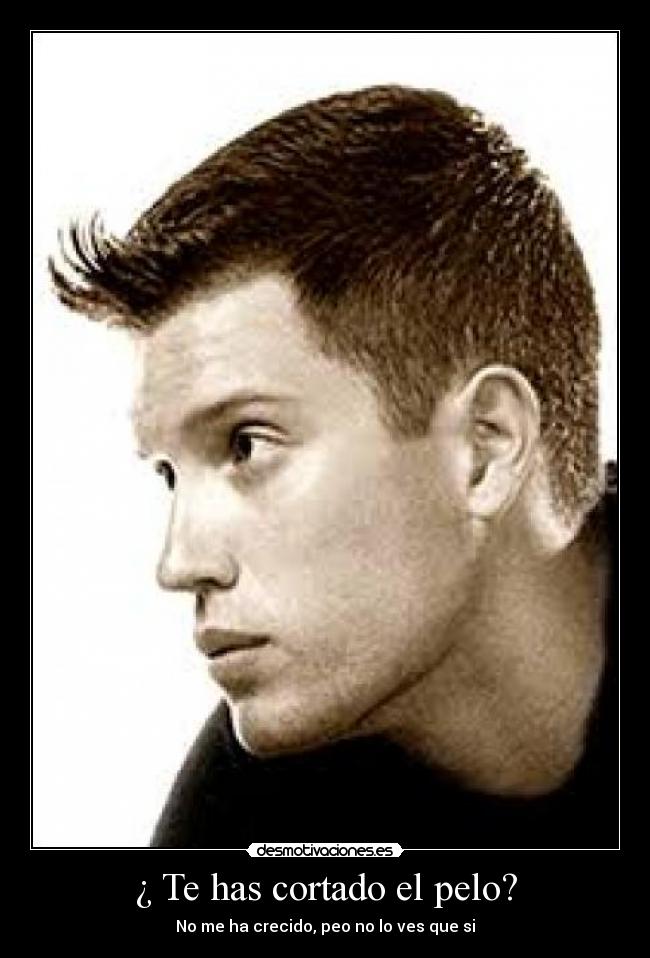 ¿ Te has cortado el pelo? - No me ha crecido, peo no lo ves que si