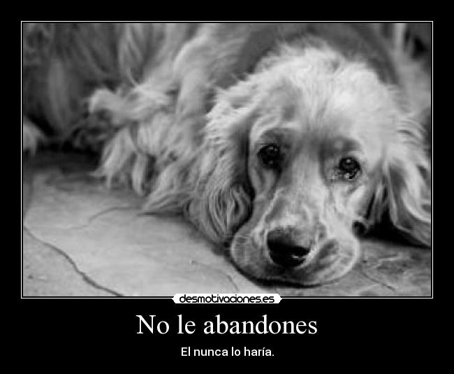 No le abandones - 