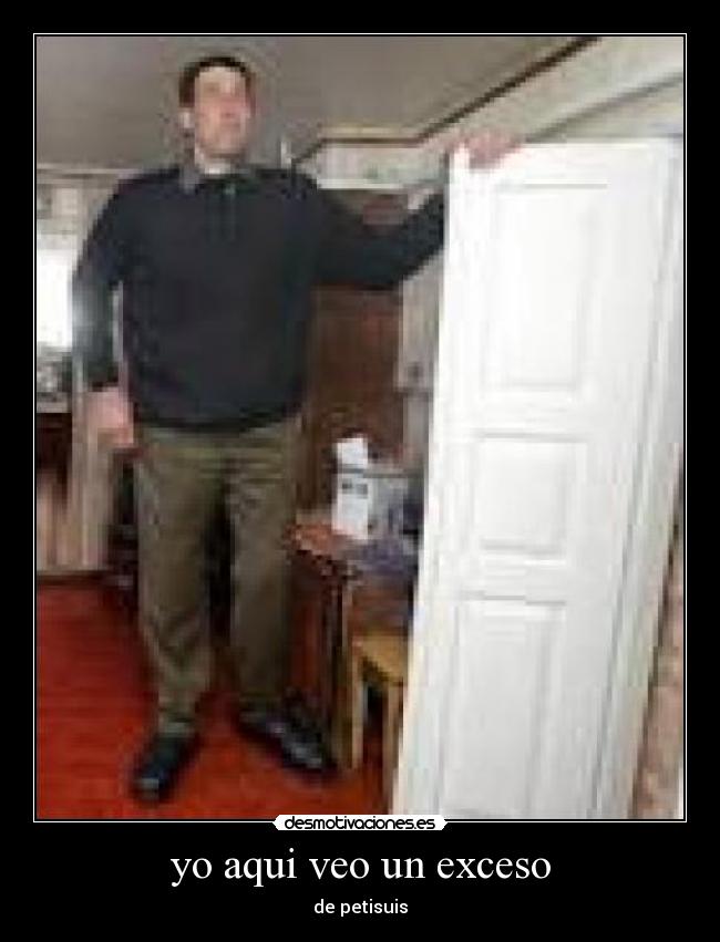 yo aqui veo un exceso - de petisuis