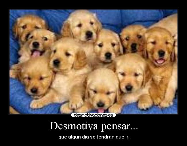 Desmotiva pensar... -