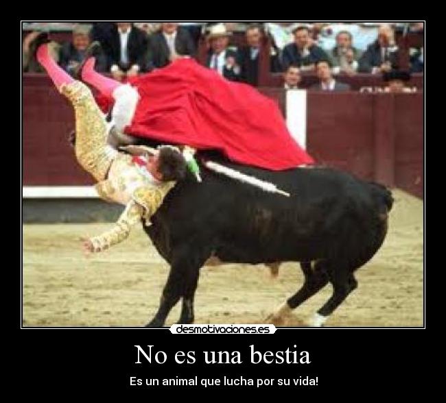 No es una bestia - 