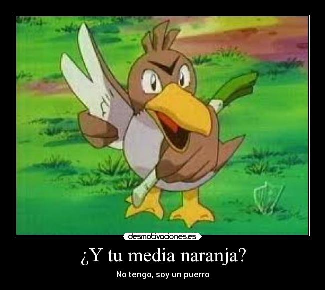 ¿Y tu media naranja? - No tengo, soy un puerro