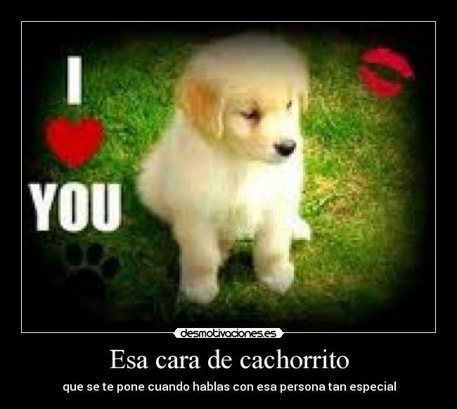 Esa cara de cachorrito - que se te pone cuando hablas con esa persona tan especial