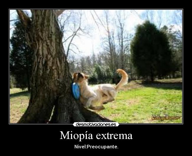 Miopía extrema - 