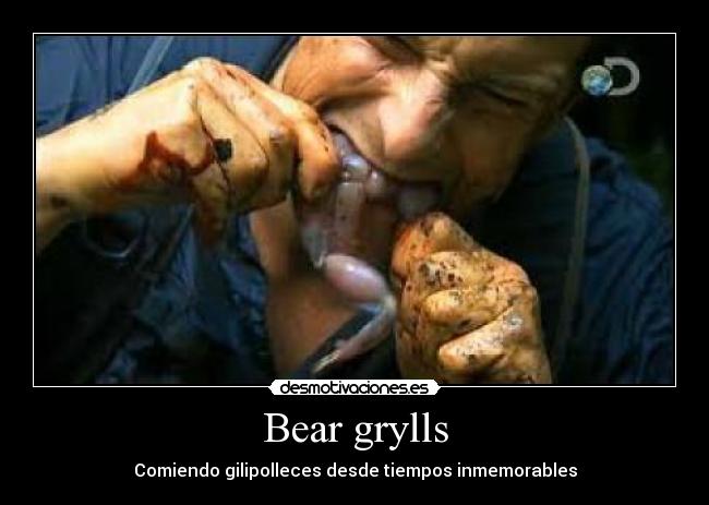 Bear grylls - 