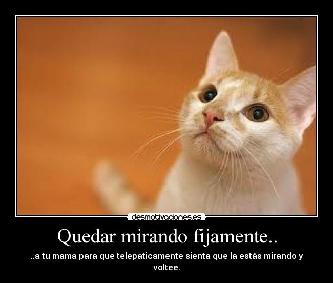 carteles egsd desmotivaciones