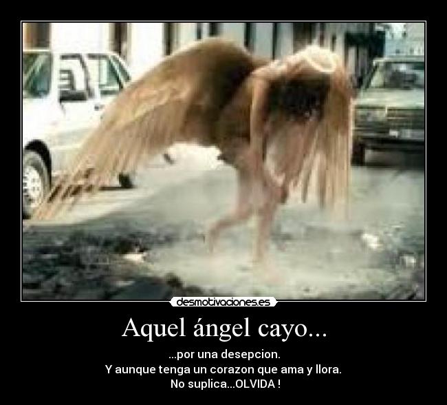 Aquel ángel cayo... - ...por una desepcion.
Y aunque tenga un corazon que ama y llora.
No suplica...OLVIDA !