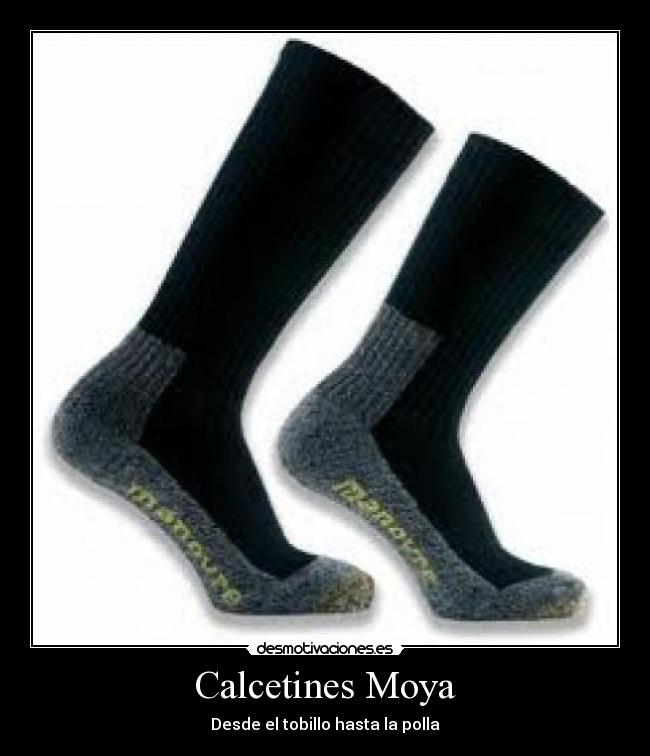 Calcetines Moya - Desde el tobillo hasta la polla