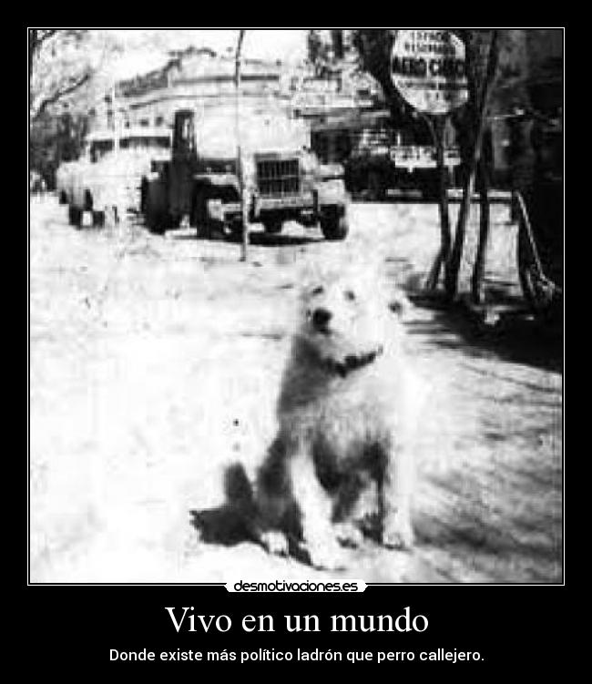 Vivo en un mundo - Donde existe más político ladrón que perro callejero.