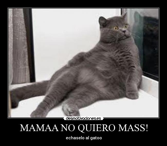 MAMAA NO QUIERO MASS! - 