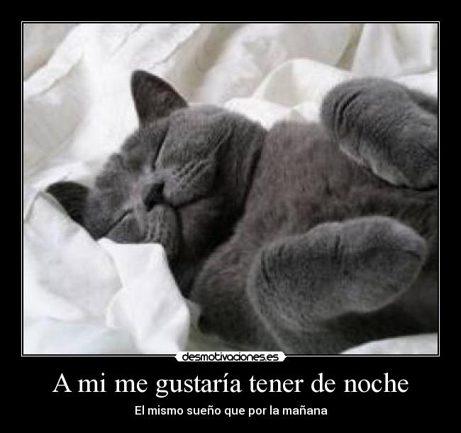 A mi me gustaría tener de noche - El mismo sueño que por la mañana