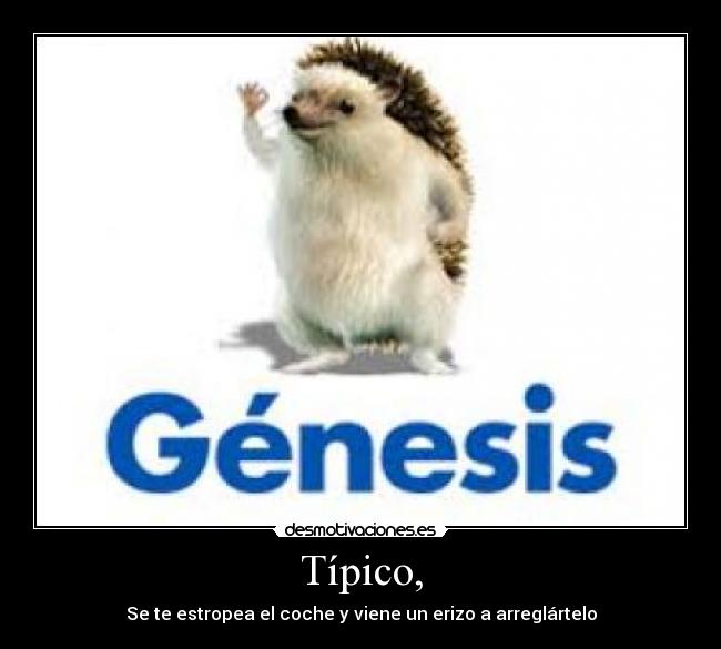 carteles genesis desmotivaciones