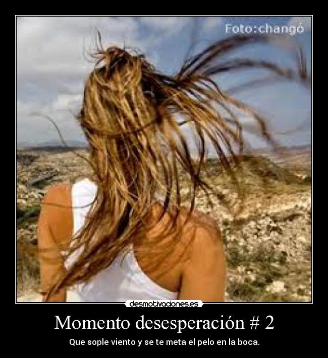 carteles pelo desmotivaciones