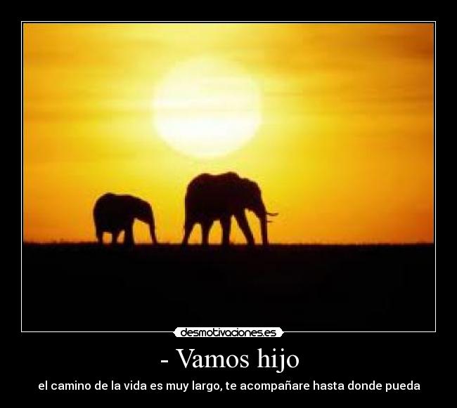 - Vamos hijo -