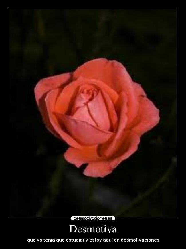 Desmotiva - que yo tenia que estudiar y estoy aquí en desmotivaciones