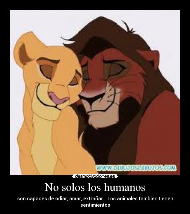 No solos los humanos - son capaces de odiar, amar, extrañar... Los animales también tienen sentimientos