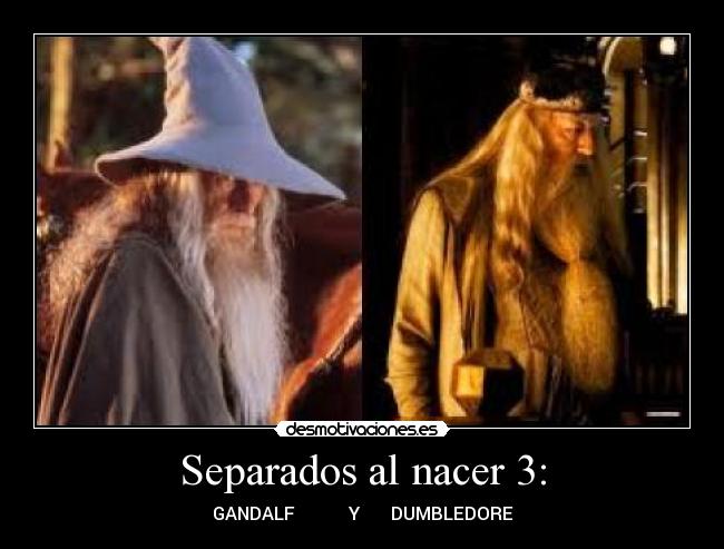 Separados al nacer 3: -