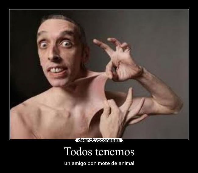 Todos tenemos - un amigo con mote de animal