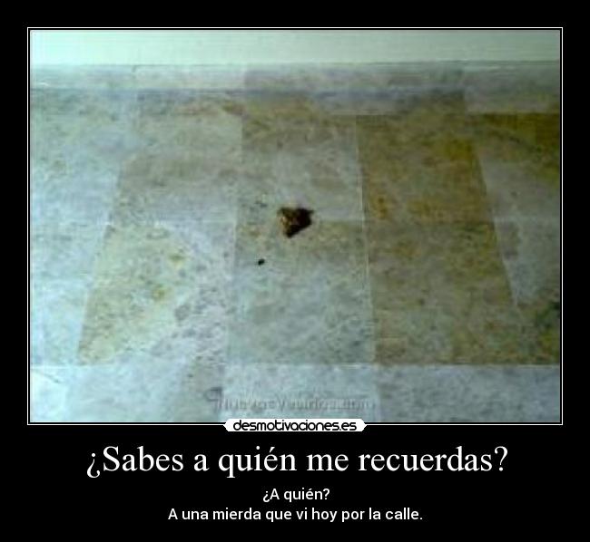 ¿Sabes a quién me recuerdas? - ¿A quién?
A una mierda que vi hoy por la calle.