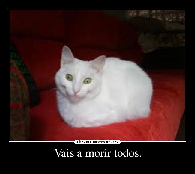 Vais a morir todos. -