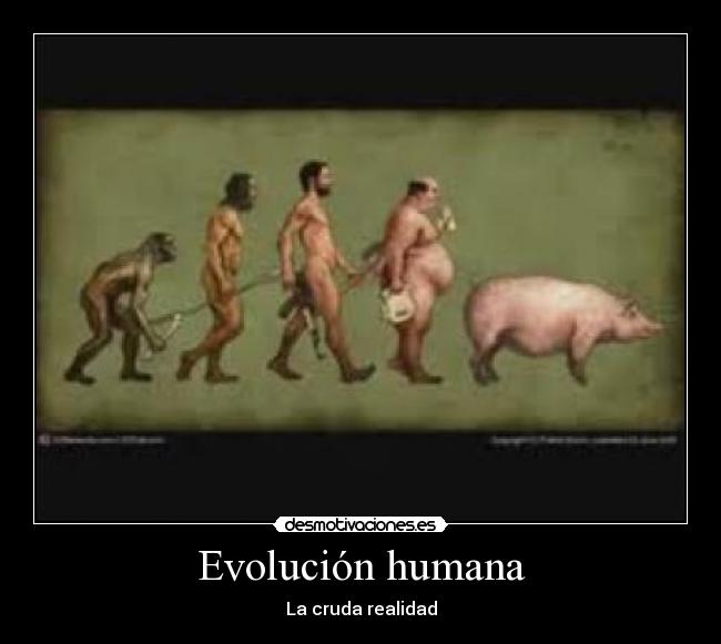 Evolución humana - La cruda realidad